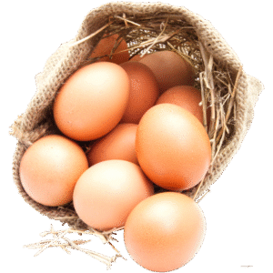 organic-egg